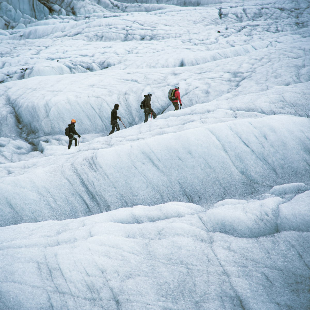 A rope team of four mountaineers crossing a glacier in single file